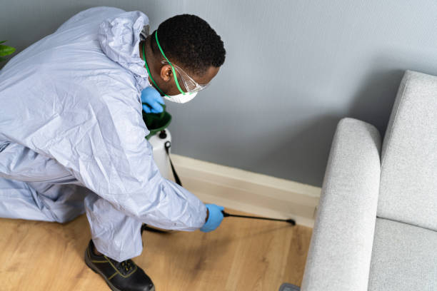 Best Residential Pest Control  in Canutillo, TX